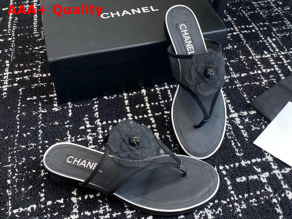 Chanel Thong Sandal in Black Mesh Replica