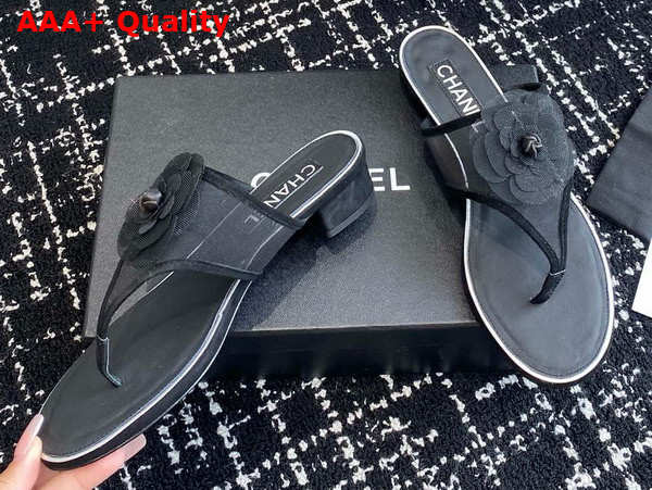 Chanel Thong Sandal in Black Mesh Replica