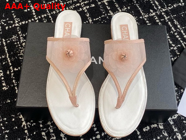 Chanel Thong Sandal in Pink Mesh Replica