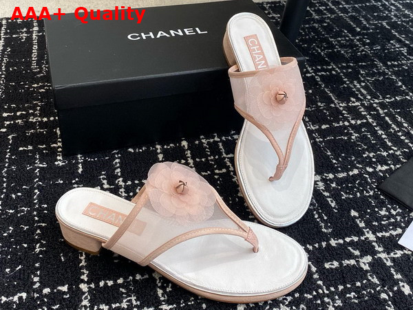 Chanel Thong Sandal in Pink Mesh Replica