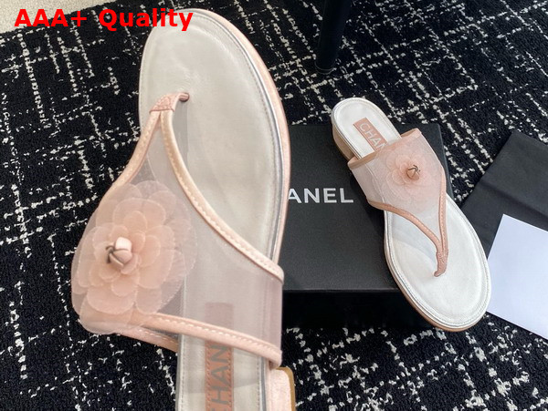 Chanel Thong Sandal in Pink Mesh Replica