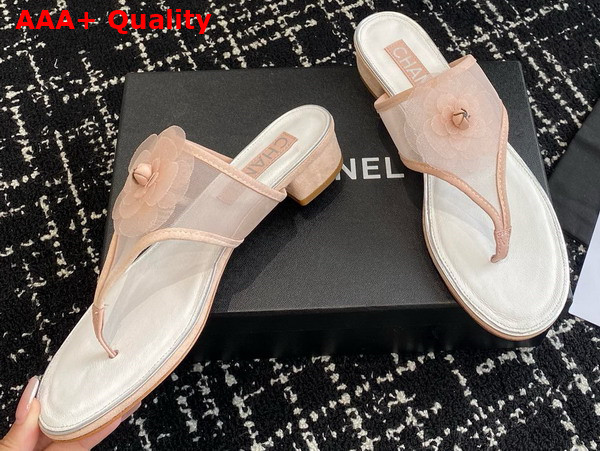 Chanel Thong Sandal in Pink Mesh Replica