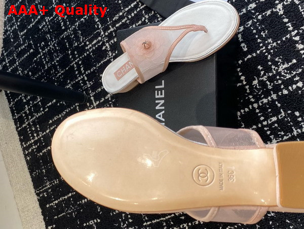 Chanel Thong Sandal in Pink Mesh Replica