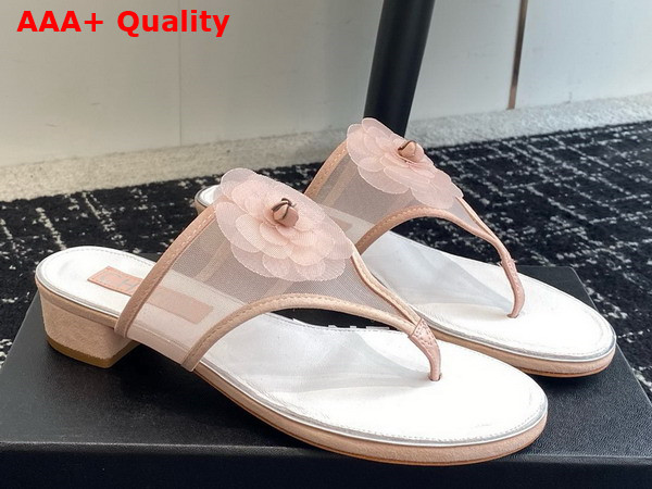 Chanel Thong Sandal in Pink Mesh Replica