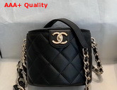 Chanel Vanity Case Lambskin Resin and Gold Tone Metal Black AS1355 Replica