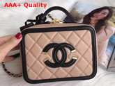 Chanel Vanity Case in Beige Grained Calfskin Gold Tone Metal Replica