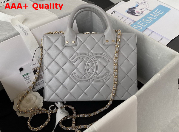 Chanel Vanity Case in Light Grey Calfskin Gold Tone Metal AS3345 Replica