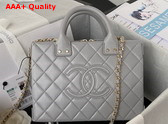 Chanel Vanity Case in Light Grey Calfskin Gold Tone Metal AS3345 Replica