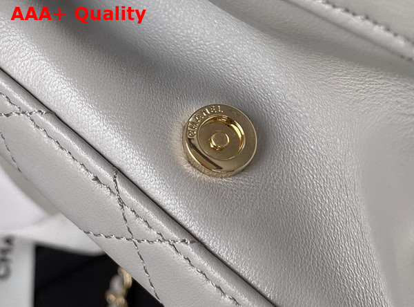 Chanel Vanity Case in Light Grey Calfskin Gold Tone Metal AS3345 Replica