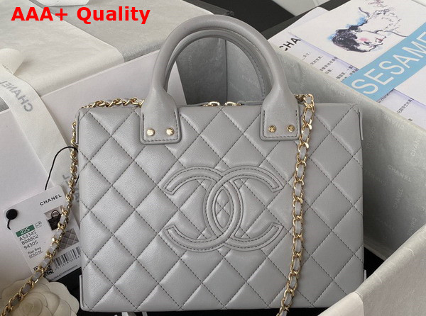 Chanel Vanity Case in Light Grey Calfskin Gold Tone Metal AS3345 Replica