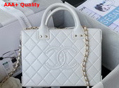 Chanel Vanity Case in White Calfskin Gold Tone Metal AS3345 Replica