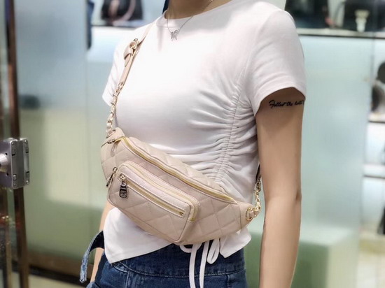 Chanel Waist Bag Beige Iridescent Grained Calfskin Gold Tone Metal AS0556