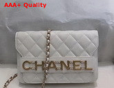 Chanel Wallet On Chain Calfskin and Gold Tone Metal White AP1234 Replica