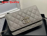 Chanel Wallet On Chain Grey Grained Calfskin Replica