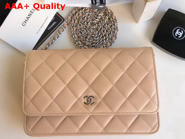 Chanel Wallet on Chain in Beige Lambskin Replica