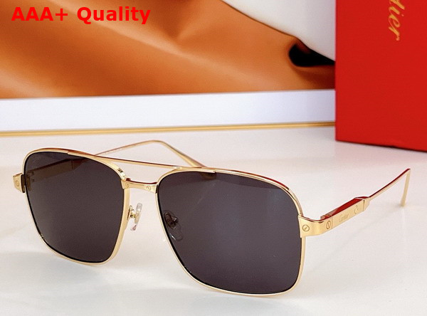 Cartier Santos de Cartier Sunglasses CRESW00653 Replica