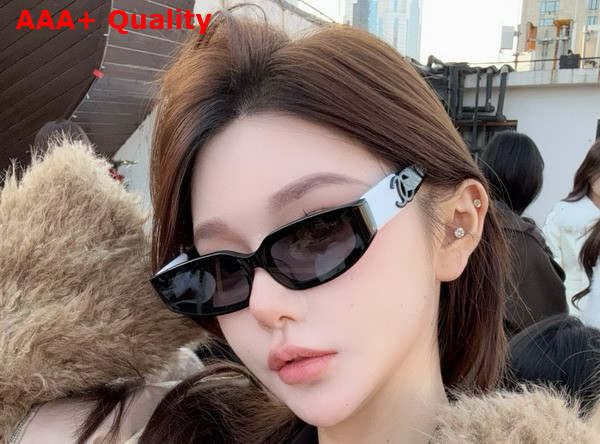 Chanel Cat Eye Sunglasses in Black 25023 Replica