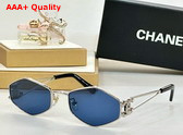 Chanel Oval Sunglasses in Blue 25028 Replica