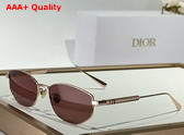 DiorCannage B1U Burgundy Oval Sunglasses Replica