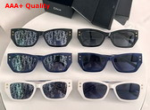 DiorPacific S2U Navy Blue Rectangular Sunglasses Replica