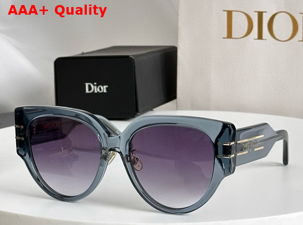 DiorSignature R2F Transparent Blush Pink Rounded Sunglasses Replica