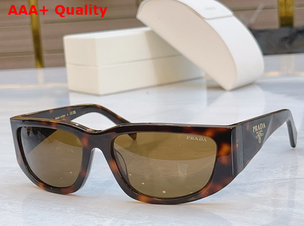 Prada Symbole Sunglasses SPRA14 Replica