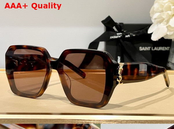 Saint Laurent SL M118 Sunglasses in Beige Replica