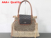 Goyard Aligre Bag in Brown Replica