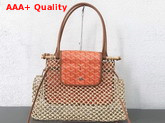 Goyard Aligre Bag in Orange Replica