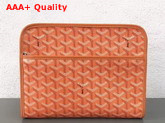 Goyard Jouvence Toiletry Pouch in Orange Replica