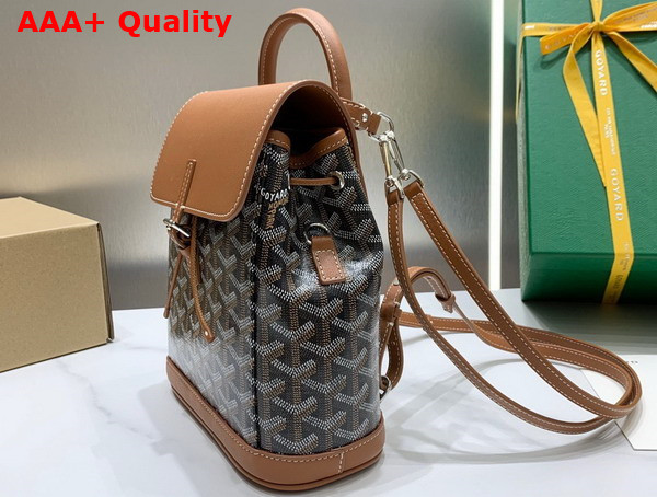 Goyard The Alpin Mini Backpack in Black and Natural Replica