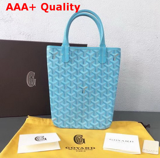 Goyard The Poitiers Bag in Baby Blue Replica