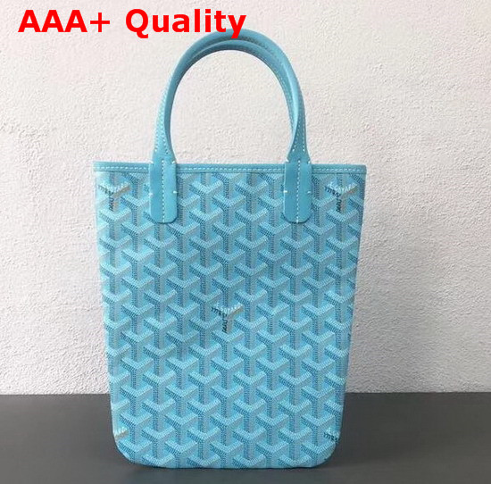 Goyard The Poitiers Bag in Baby Blue Replica