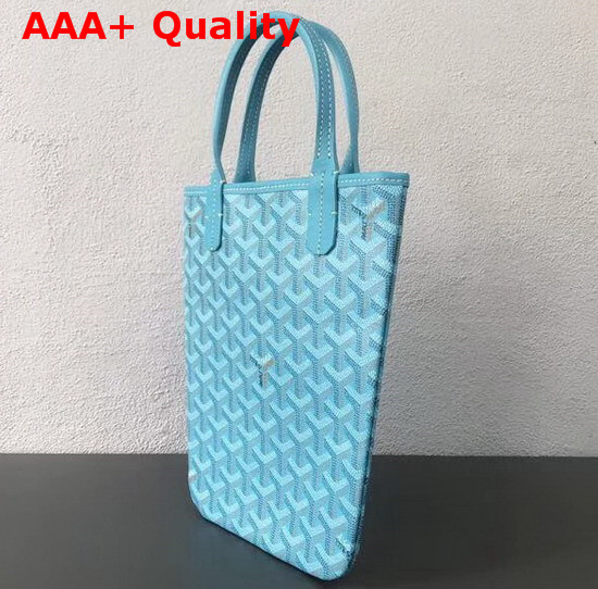 Goyard The Poitiers Bag in Baby Blue Replica