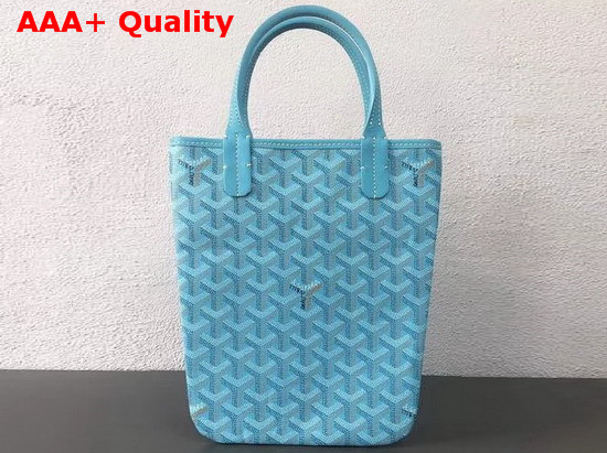 Goyard The Poitiers Bag in Baby Blue Replica