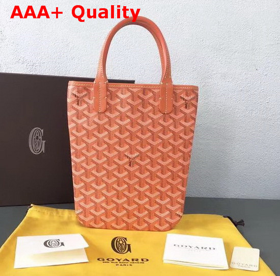 Goyard The Poitiers Bag in Orange Replica