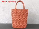 Goyard The Poitiers Bag in Orange Replica