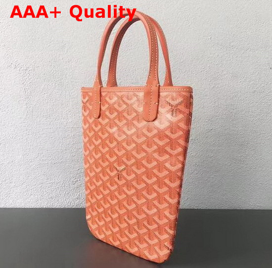 Goyard The Poitiers Bag in Orange Replica