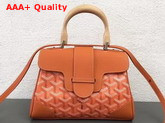 Goyard The Saigon Mini Bag in Orange Replica