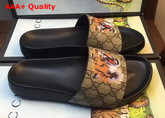 Gucci Bengal Sandal Replica