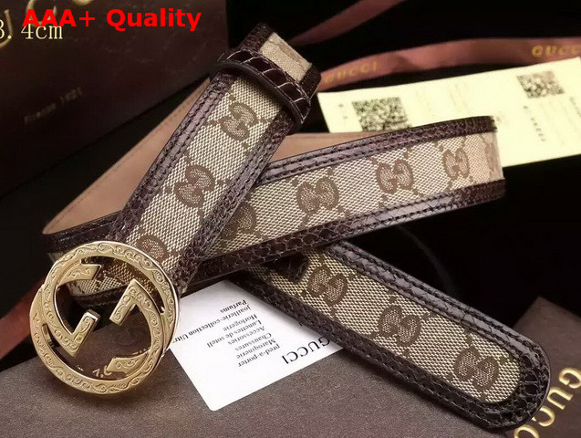 Gucci Interlocking G Buckle Belt Brown Canvas with Brown Leather Trim Replica