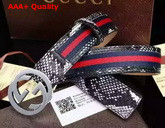 Gucci Interlocking G Buckle Belt White Python Replica