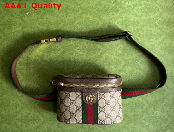 Gucci Ophidia GG Belt Bag in Beige and ebony GG Supreme Canvas 699765 Replica