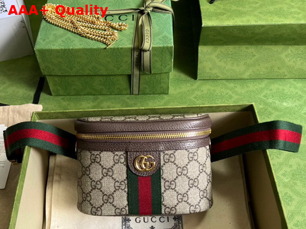 Gucci Ophidia GG Belt Bag in Beige and ebony GG Supreme Canvas 699765 Replica