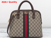 Gucci Ophidia Medium Top Handle Bag in Beige and Ebony GG Supreme Canvas 795258 Replica