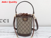 Gucci Ophidia Mini Bucket Bag in Beige and Ebony GG Supreme Canvas 760199 Replica