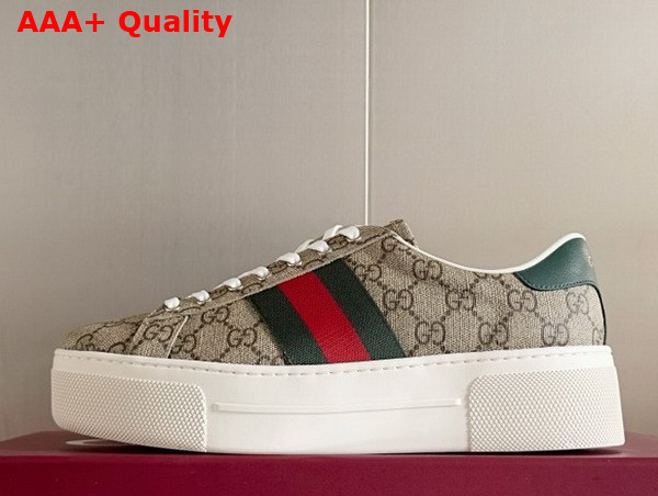 Gucci Womens Gucci Ace Sneaker in Beige and Ebony GG Supreme Canvas with Red and Green Web 791399 Replica