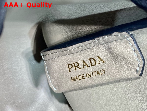 Prada Medium Leather Handbag in Clay 1BA444 Replica