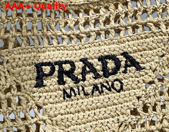 Prada Raffia Tote Bag in Tan 1BG393 Replica