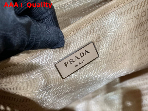 Prada Re Nylon Medium Backpack with Pouch in Desert Beige 1BZ811 Replica